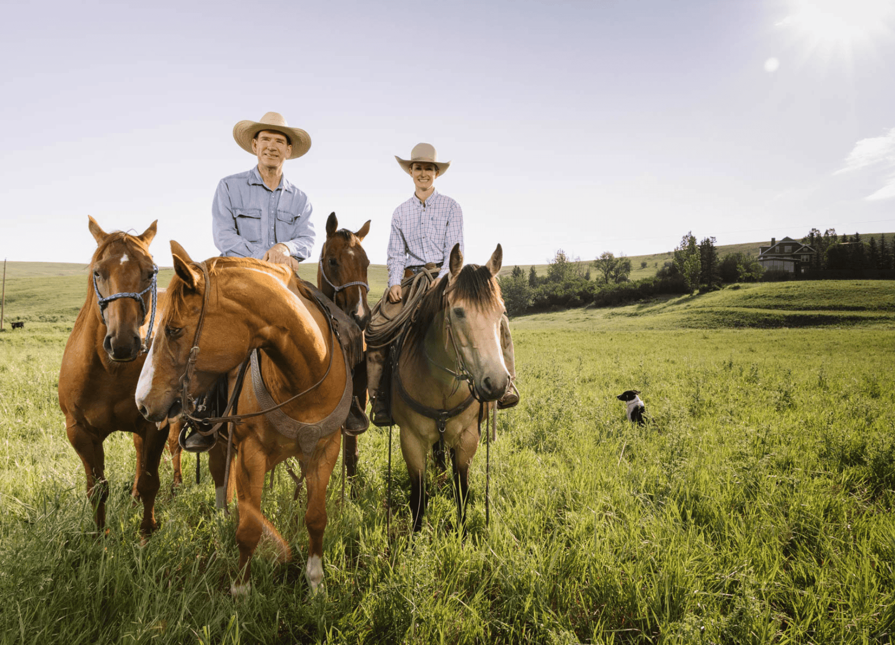 A Legacy on Alberta Land